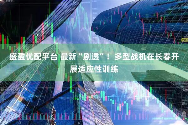 盛盈优配平台 最新“剧透”！多型战机在长春开展适应性训练