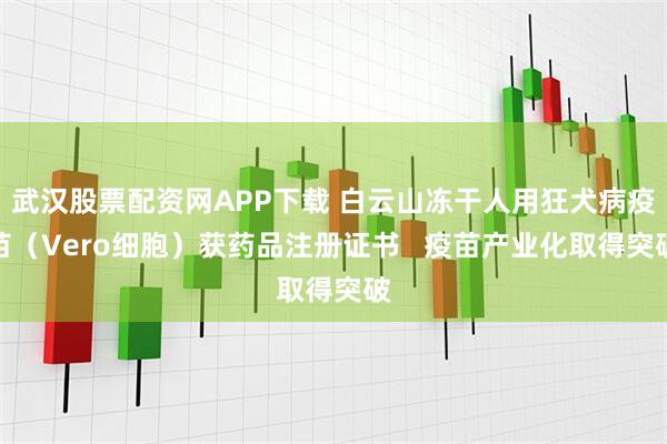 武汉股票配资网APP下载 白云山冻干人用狂犬病疫苗（Vero细胞）获药品注册证书   疫苗产业化取得突破